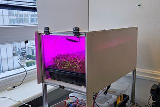 Microgreen Growbox Gesamtansicht